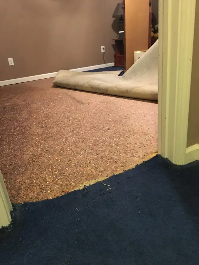 Carpet pad removal revealing water damage during Drying & Dehumidification in Nederland