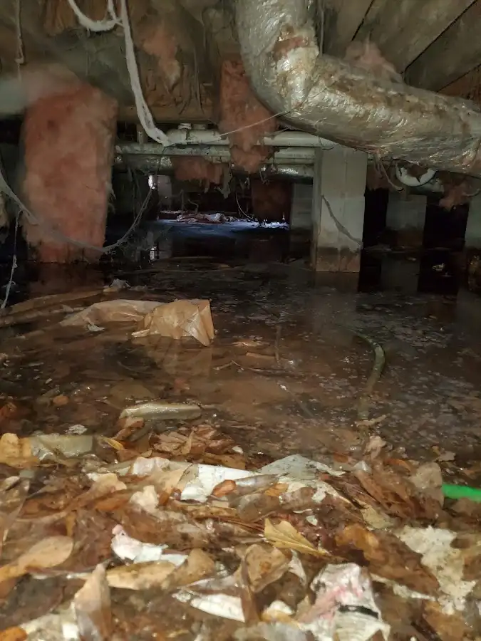 Crawl space flood assessment for Leak Detection & Repair in Nederland