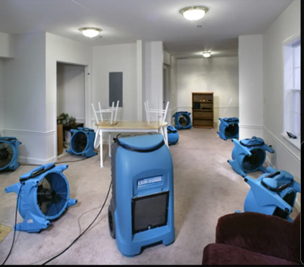 Air movers and dehumidifier setup for Water Extraction & Removal in Nederland